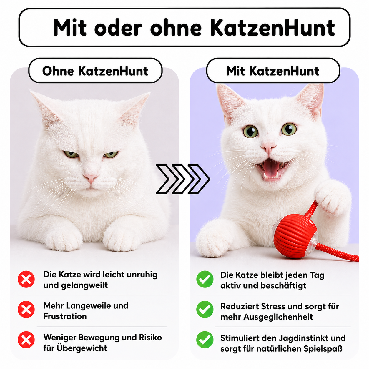 Katzenhunt - Das selbstfahrende katzenspielzeug, das die katze selbst starten kann