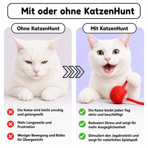 Katzenhunt - Das selbstfahrende katzenspielzeug, das die katze selbst starten kann